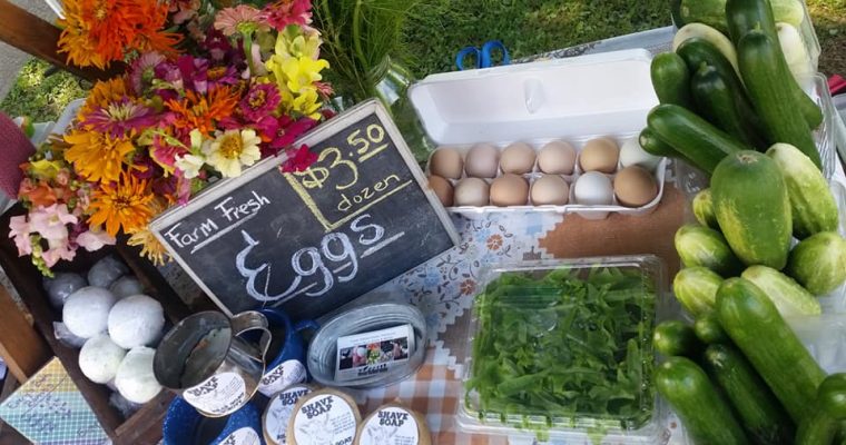 Our Southern Illinois Produce CSA Program