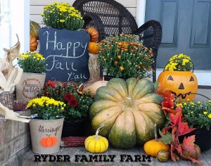 A Southern Illinois porch adorned  with Ryder Family farm grown mums and pumpkins.