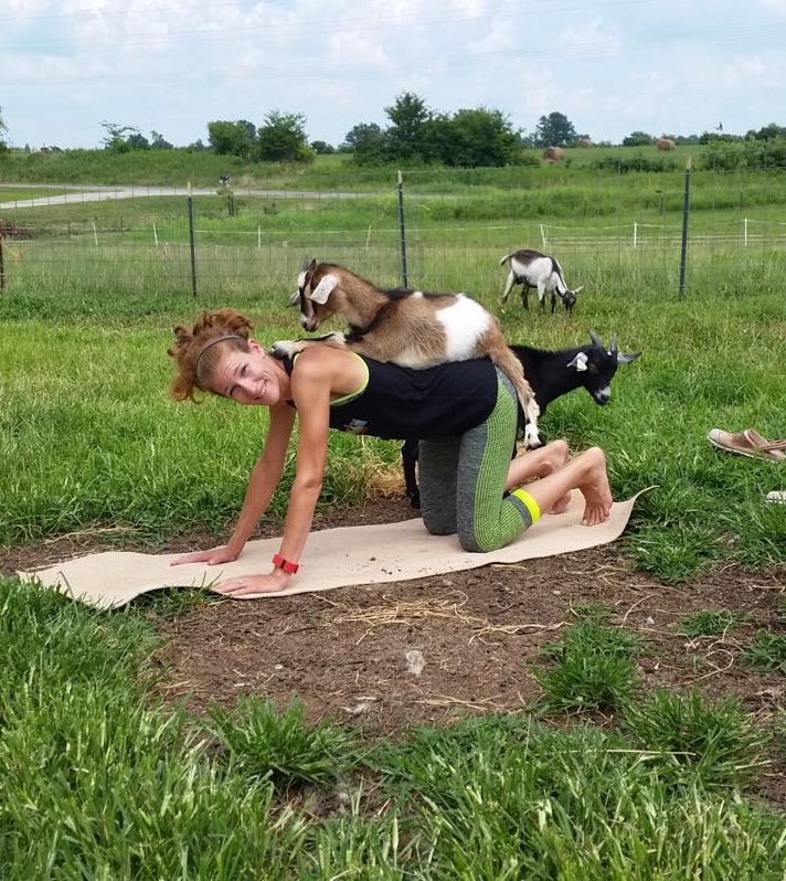 Goat Yoga in Southern Illinois!