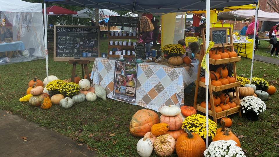 Southern Illinois mums & pumpkin patch