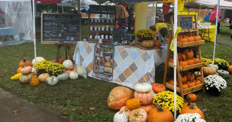 Southern Illinois mum & pumpkin patch