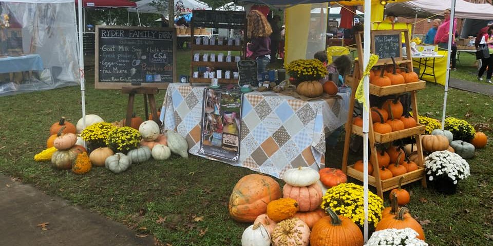 Southern Illinois mum & pumpkin patch