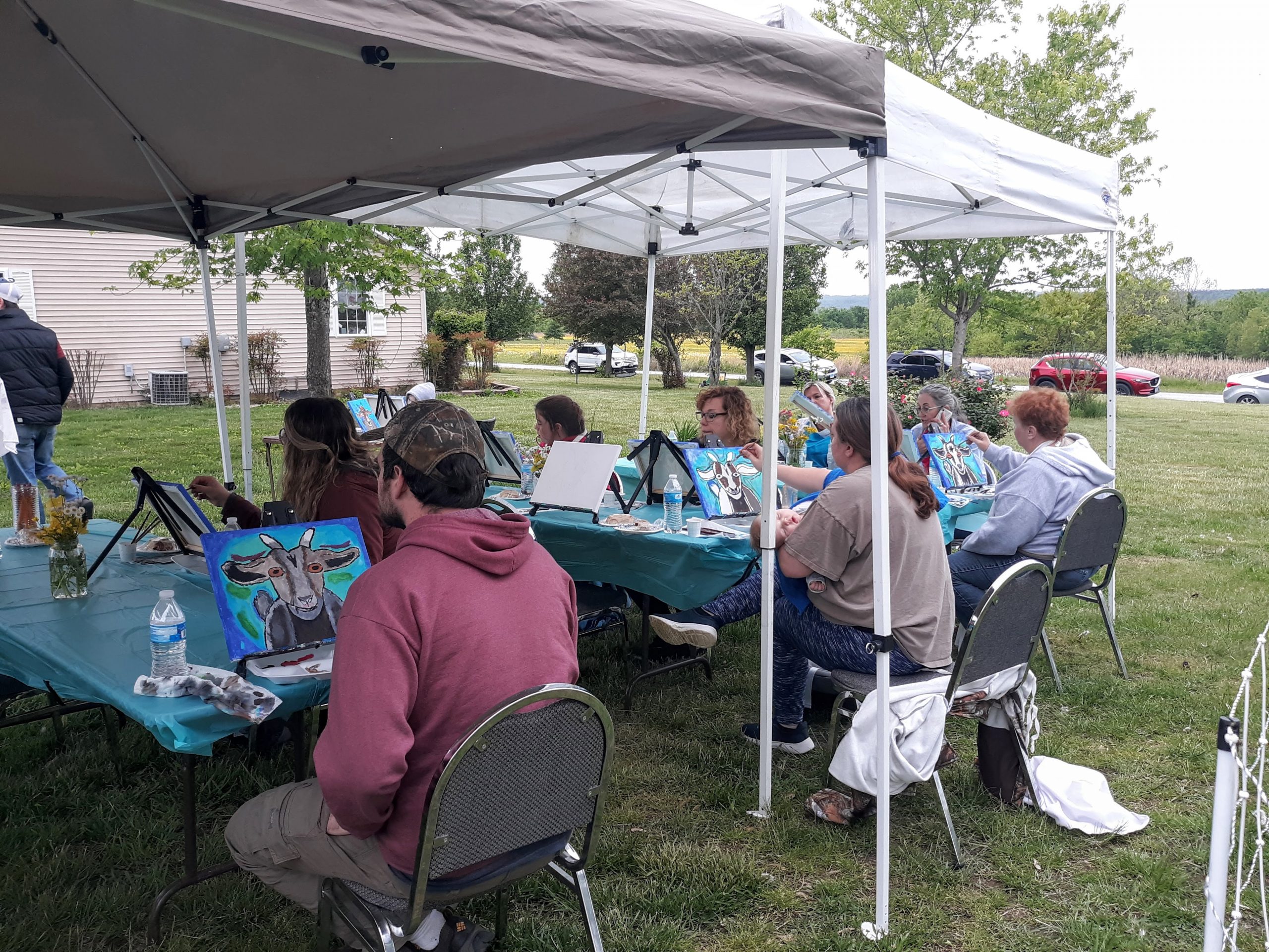 On the Farm Paint Class & Mingle Session, Golconda, IL